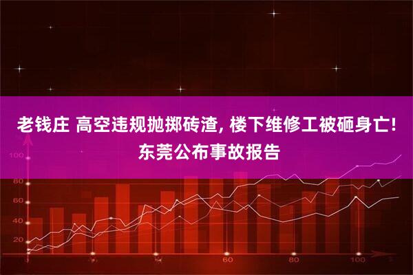 老钱庄 高空违规抛掷砖渣, 楼下维修工被砸身亡! 东莞公布事故报告