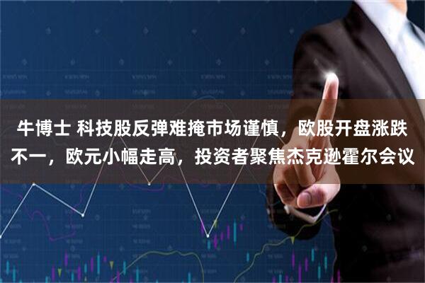 牛博士 科技股反弹难掩市场谨慎，欧股开盘涨跌不一，欧元小幅走高，投资者聚焦杰克逊霍尔会议