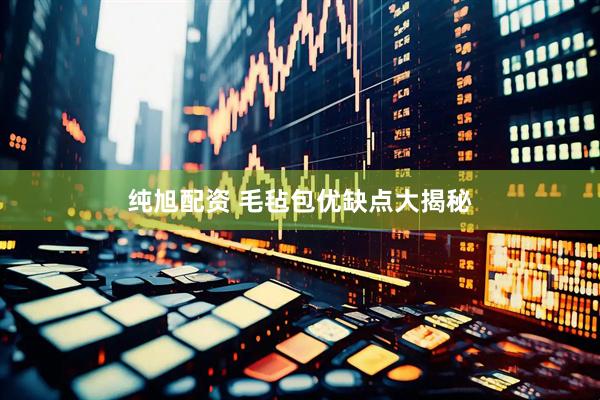 纯旭配资 毛毡包优缺点大揭秘